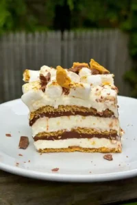 Homemade Chocolate Graham Crackers